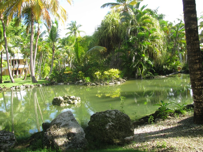 Dominican Republic 324.jpg